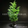 Planta en maceta hojas de helecho maceta bonsái plástico Hierba Persa árbol árbol artificial