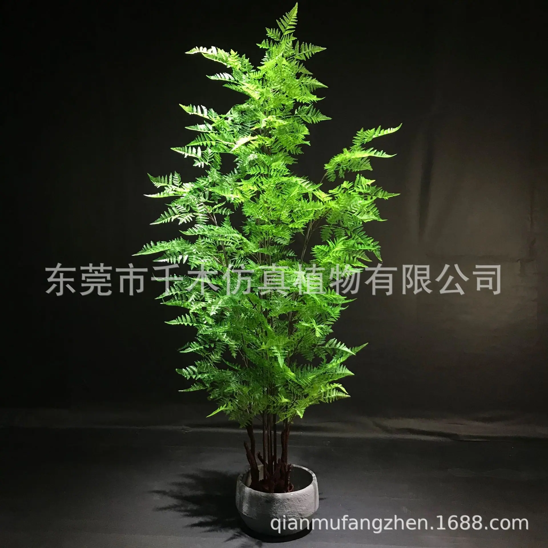 微信图片_202012042043201