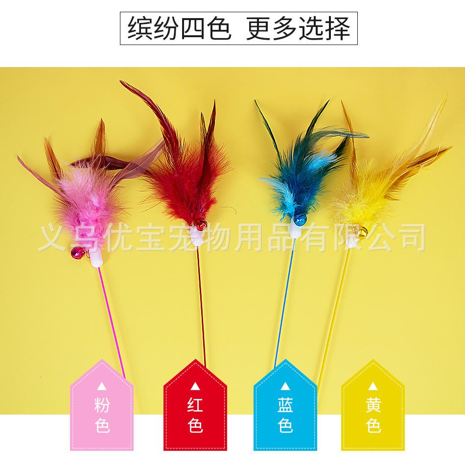 彩竿单羽详情_05