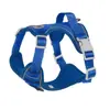 Coleira Nova para Cães Estilo Colete Peitoral para Animais de Estimação Peitoral de Peito Refletivo Respirável Corda para Passeio com Cães Corda para Cães Atacado