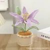 Planta de Lirio Tejida a Crochet con Lana - Exquisito y Único Regalo para el Día del Maestro, Adorno Decorativo para Escritorio de Oficina