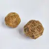 En Stock Suministros para Mascotas Transfronterizos Hámster Conejo Loro Cobaya Juguetes Decorativos para Masticar y Mudar Bola de Fibra de Coco