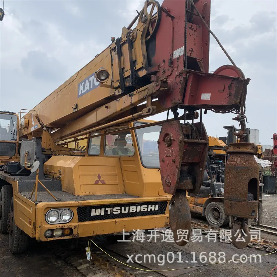 30t crane (6)