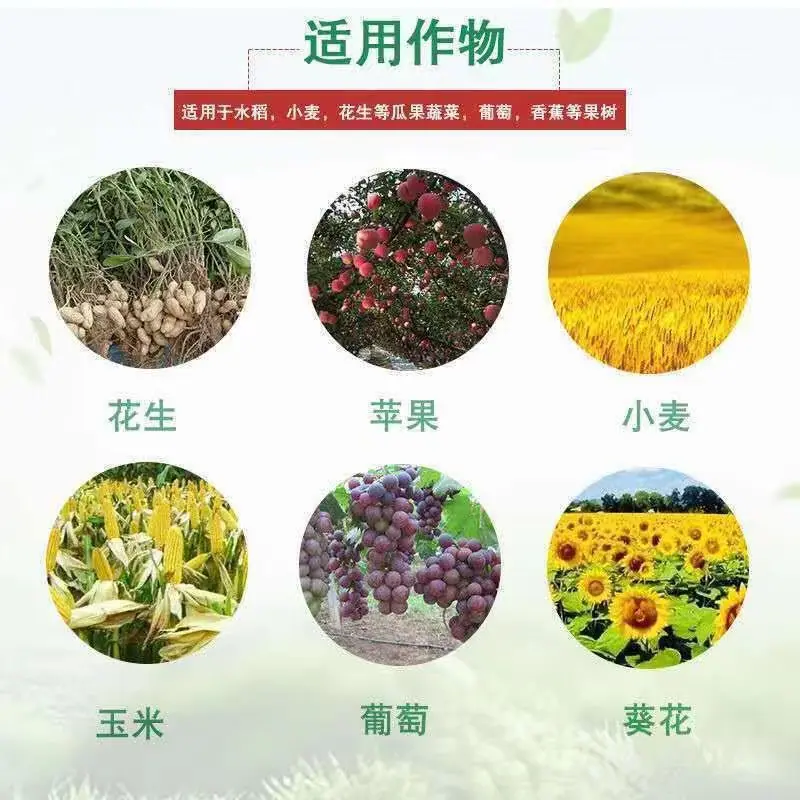 微信图片_20230811111006