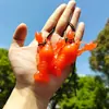 Color de moda en TikTok Pato Asado que Cambia de Color Divertido para Coche Sensible a la Temperatura UV Colgante que Cambia de Color Accesorio Creativo Llavero