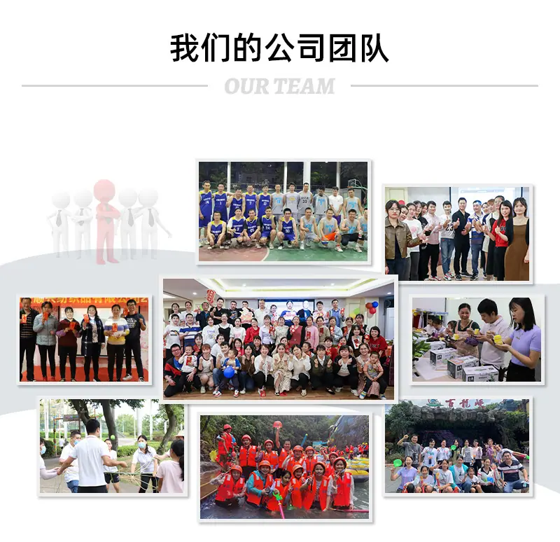 我们的公司团队展示