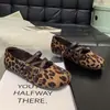 Sapatos Mary Jane Retrô Planos Franceses Mais Vendidos 2026 Novos Outono Para o Trabalho Sapatos Femininos Boca Rasa Versáteis Sapatos Únicos