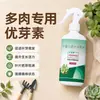 Youya Suo, un fertilizante especializado para suculentas, promueve los esquejes de hoja, fomenta la brotación y acelera el crecimiento.. Es un fertilizante doméstico para cultivar flores y proporcionar nutrientes para plantas maduras, disponible para venta al por mayor