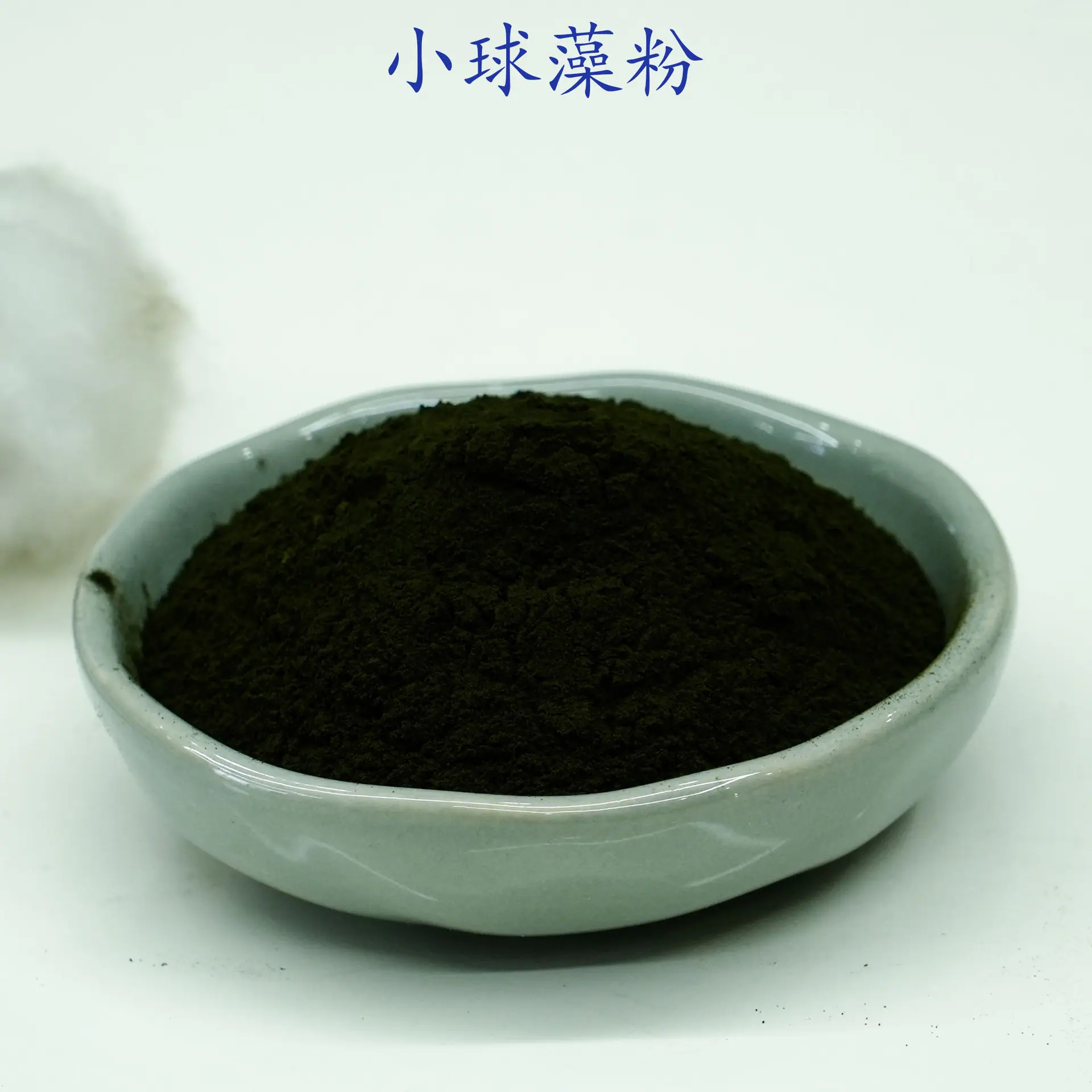 小球藻粉2.jpg