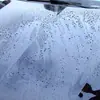 Ventas directas del fabricante: Recubrimiento de fluorosilicona para superficie de pintura automotriz, material líquido hidrofóbico impermeable, abrillantador de cromo transparente