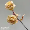 Flores Artificiales, Flores Secas Estilo Wabi-Sabi, Hojas Secas, Frutos de Pipa, Hortensias de Borde Tostado, Materiales Florales Vintage, Frutos de Espino Marítimo, Decoraciones de Mesa, Flores de Seda