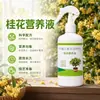 Solución Nutritiva de Osmanthus Lista para Usar Tipo Spray Directo Ajuste de pH Suplemento de Hierro Anti-Amarilleamiento Amigable para Principiantes Cuidado de Osmanthus en Maceta de Balcón
