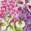 Flor artificial Phalaenopsis flor 3D de película cabeza de flor estilo ramillete regalo de mano LV Fu regalo DIY caja de regalo decoración de boda