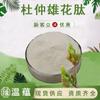 Péptido de Flor Masculina de Eucommia Materia Prima de Grado Alimenticio Extracto de Flor Masculina de Eucommia Péptido de Molécula Pequeña Extracto de Planta Envío Gratis