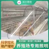 Luces de crecimiento para plantas, para mercados de ultramar, todo tipo de luces de crecimiento para plantas preciosas