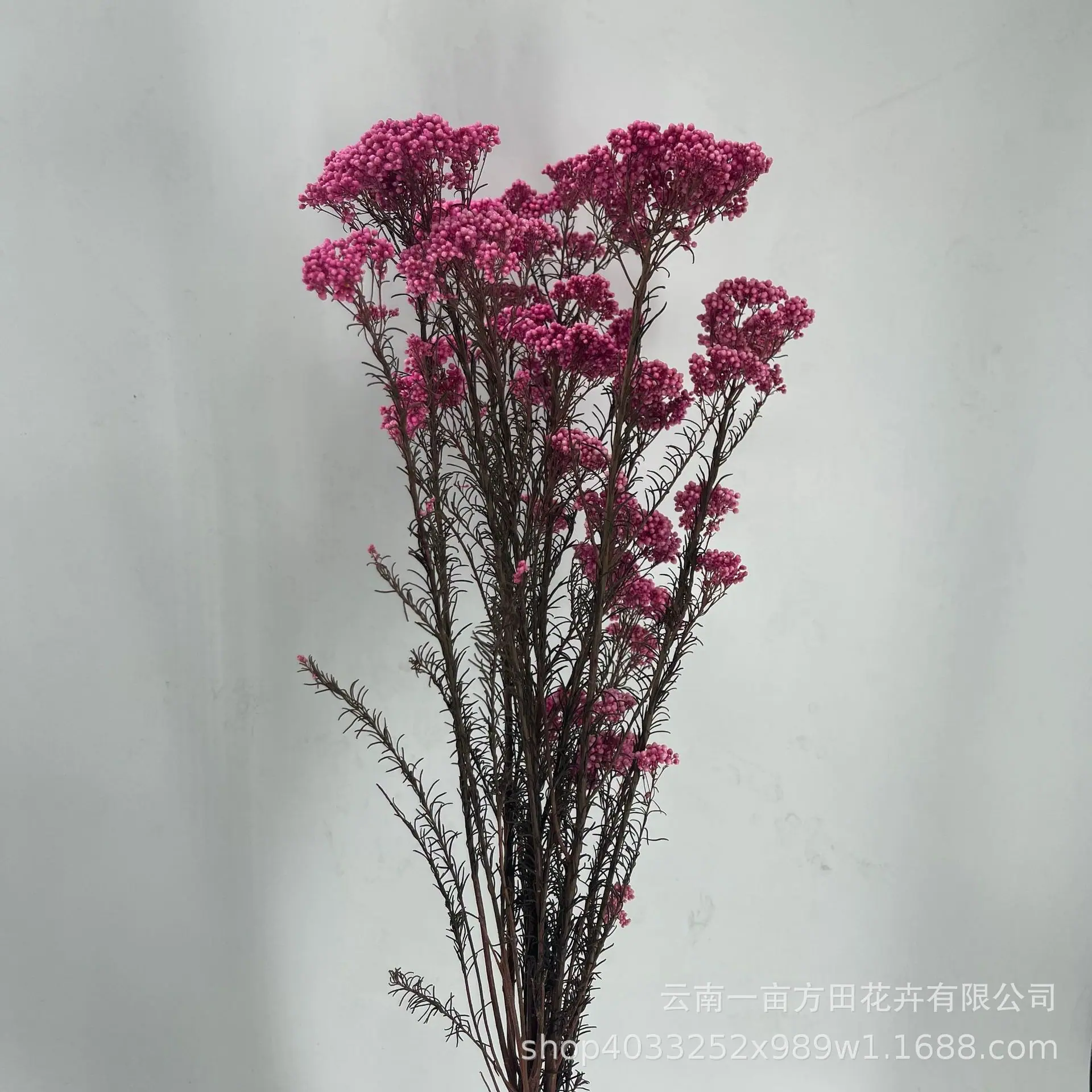 18b33b19179423d57d17278f087d80