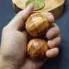Pelota de Salud Taihang Thuja Pelota de Fitness Pelota de Transferencia de Salud con Cicatrices de Tumores y Ondas de Agua Pelota Sólida 4cm Estilos