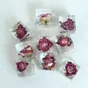 Flores Naturais, Flores Secas, Ornamentos Quadrados de Rosa com Cola de Resina, Moldura para Foto com Espécimes de Plantas Estéreo, Decorações de Material DIY