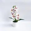 Planta Artificial de Orquídea Borboleta Personalizada de 7 Peças em Vaso para Decoração de Salão de Casamento, Bonsai de Flor Artificial, Decoração de Casa, Arranjo de Flores Artificiais