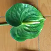 Flor Artificial Decorativa de Antúrio Vermelho, Haste Única, Impressa em 3D com Toque Realista, Adequada para Decoração de Casa, Arranjos de Casamento e Decoração Suave
