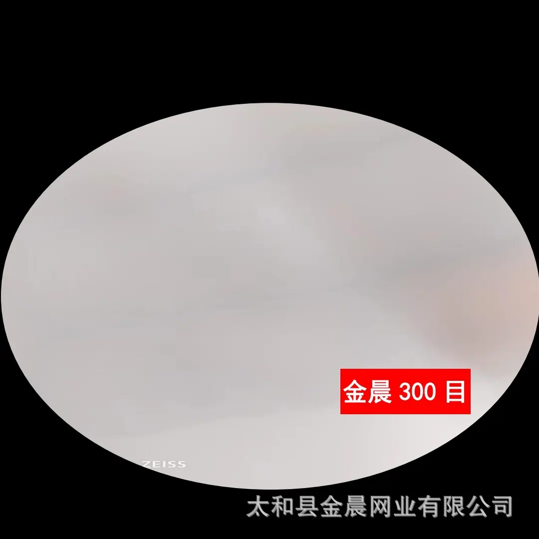 300