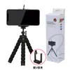 Suporte de Celular Polvo Suporte de Mesa para Live Suporte Preguiçoso de Esponja Tripé Polvo Gimbal Universal