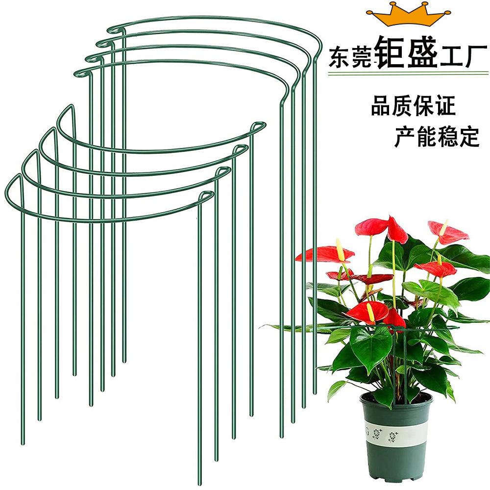 最新 半圆主图11