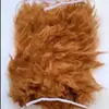 Parches de Piel Sintética para Mascotas Práctica de Esteticista Parches de Pelo de Espalda Pelo de Perro Pelo de Cabeza Esqueleto de Caniche Modelo Oso de Peluche Bichón