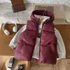 Colete Espesso com Capuz Infantil para Outono e Inverno para Meninos e Meninas, Jaqueta Quente sem Mangas, Roupa Externa de Fácil Cuidado, Roupa Combinando Pai-Filho