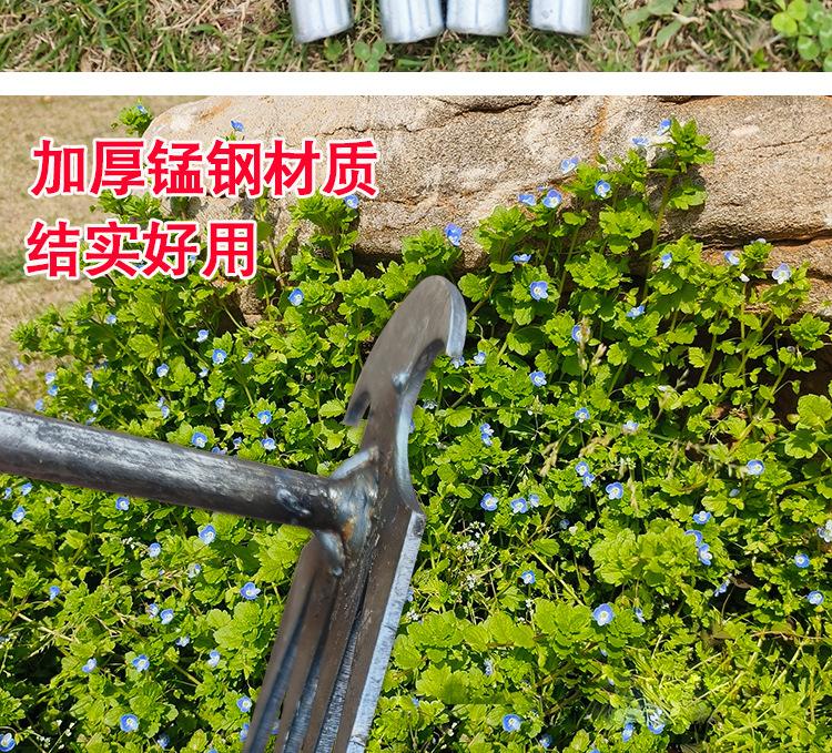 详情_03.jpg
