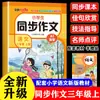 Alunos do Ensino Fundamental Composição Sincronizada Treinamento Especial de Língua Chinesa Modelo de Resposta Material de Pontuação Máxima Livro Amostra para Séries 1-8