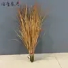 Briznas de hierba plantas acuáticas pequeñas lirios hierba seca cola de zorro arbustos musgo plantas verdes paisajismo estilo camping retardante de llama