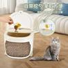 Balde de armazenamento de grãos para animais de estimação Balde de armazenamento à prova de umidade para comida de gato Balde simples selado de grande capacidade para ração para cães Balde de armazenamento de lanches para animais de estimação