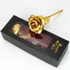 Nuevo Origen Transfronterizo de Amazon Creativo 520 Día de San Valentín Flor Preservada Simulada Rosa de Lámina de Oro Adorno