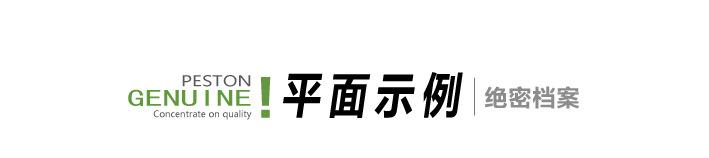 平面示例