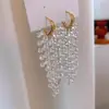 Brincos de Franja de Cristal Branco, Tendência de Luxo Acessível de Design de Nicho, Brincos Longos de Luxo, Brincos Únicos para Mulheres