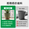 Vaso de Flores Autoirrigável Mais Vendido da Amazon, Vaso de Flores de Plástico Sem Rega para Pessoas Preguiçosas, Vaso de Flores para Plantas Verdes e Petúnias