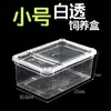 Caja de Alimentación para Reptiles Anfibio Caracol Araña Gecko Rana Cornuda Tortuga Grande Caja de Alimentación con Escondite Paisaje Caja para Reptiles