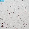 Ventas Directas de Fábrica Baldosas Antideslizantes de Terrazzo para Suelo de Restaurante de Invitados Coloridas Ingeniería Pared Antigua Mesa de Comedor Encimera Pared Suelo