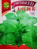 Fabricante Fonte Atacado Semente de Alface Outono e Inverno Saco Colorido Barraca de Sementes Originais Semente de Couve Chinesa Semente Muda Semente de Hortaliça
