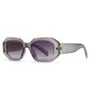 Explosiones transfronterizas de comercio exterior Gafas de sol modernas Fotografía callejera europea y americana en Internet Modelo rojo Gafas de sol ovaladas Mujer 9179