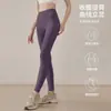 Leggings de Yoga Sem Costura para Fitness Corrida Esportes Cintura Alta Levanta Bumbum Elásticas Roupa Exterior Calças Shark