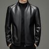 Haining Primavera y Otoño Ropa de Hombre Ropa de Cuero de Oveja para Hombre Cuello Normal Corte Juvenil Cremallera Moda Urbana