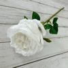 Nueva flor artificial transfronteriza, una sola rosa Austin, accesorios de fotografía, camino de boda, flores falsas decorativas, flores de seda para el hogar.