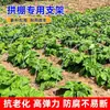 Invernaderos Agrícolas Pequeños de Arco Verde, Película para Cultivo de Hortalizas, Película de Plástico, Invernaderos para Viveros de Frutales, Película de Plástico para Campos de Hortalizas, Invernaderos Pequeños de Arco Verde