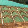 Muro de contención de ladera con esqueleto de espiga de Jiangmen Esqueleto de espiga de hormigón para ladera
