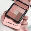 Paleta de Sombras Ojos de Rosa Ébano Modelo Nuevo 2025 Maquillaje Diario Ligero Tonos Rosados Mate Colores Tierra Baja Saturación Perlado Brillo Fino