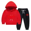 Conjunto de Suéter con Capucha para Niños Otoño e Invierno 2023 Estilo Occidental Nuevo para Niños Medianos y Grandes Ropa de Invierno Gruesa y Cálida con Forro de Felpa
