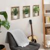 Tríptico de Planta Verde en Maceta Dormitorio Sala de Estar Entrada Decoración del Hogar Adhesivo de Pared Adhesivo Autoadhesivo Venta al por Mayor Hy-F441