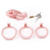 Dispositivo de castidad masculino con cerradura oculta, jaula para pájaros, ejercicio, anillo de bloqueo de pene CB, cerradura de castidad enrollada, abstinencia, juguetes sexuales para adultos.